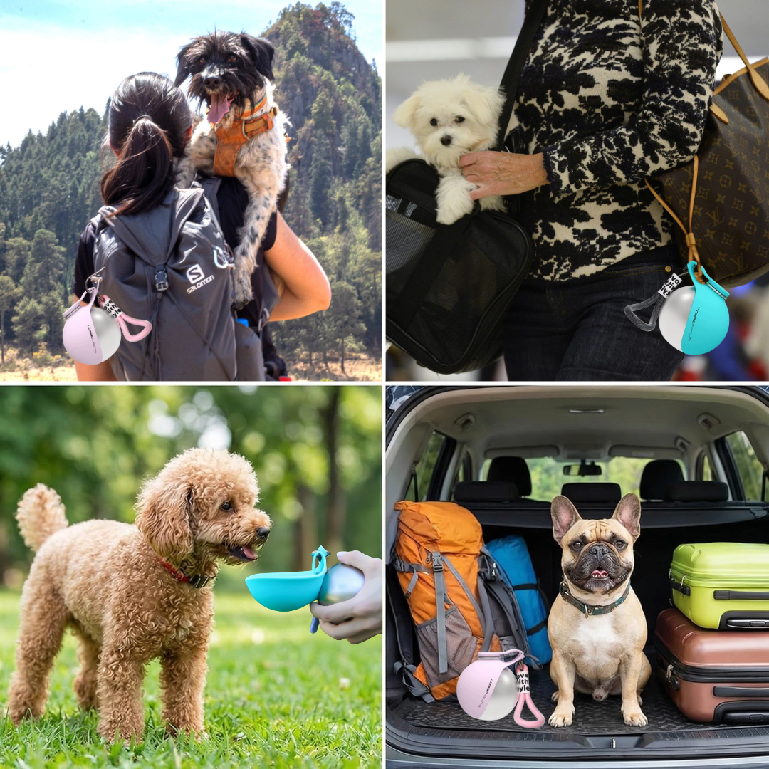 BuddyPup™ – Garrafa Portátil para Cães com Tigela de Silicone 2 em 1