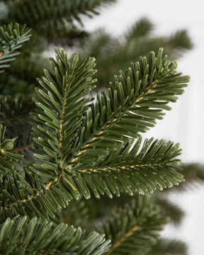 Árvore de Natal Fraser Fir com Galhos Articulados, Suporte Metálico e Micro LEDs Coloridos Embutidos
