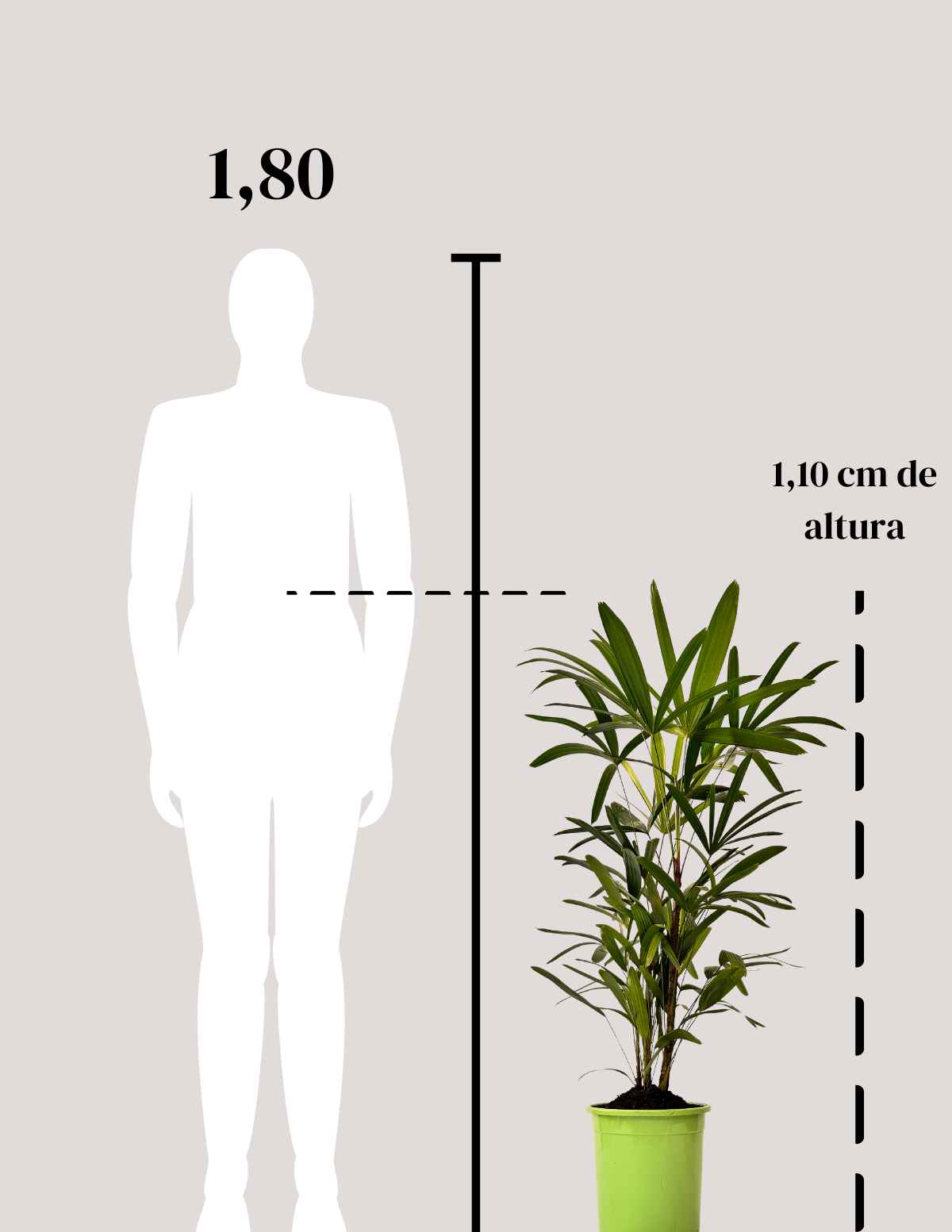 Palmeira Tropical Decorativa